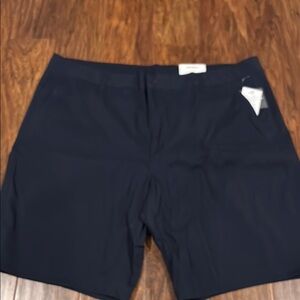 Eddie Bauer Blue Flat Front Casual Shorts
